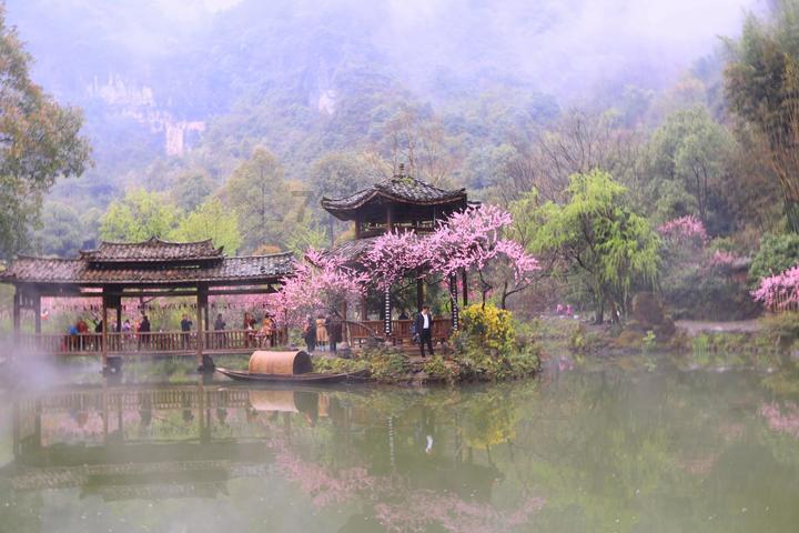 万词王
